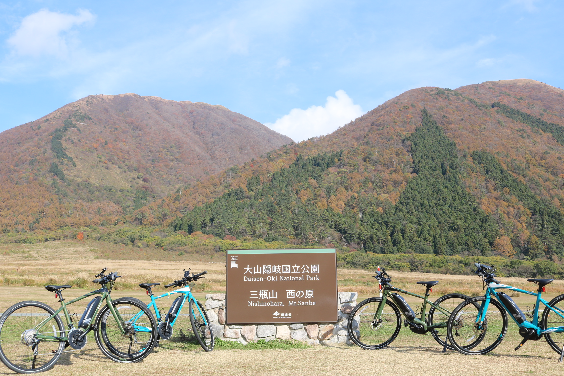 写真1