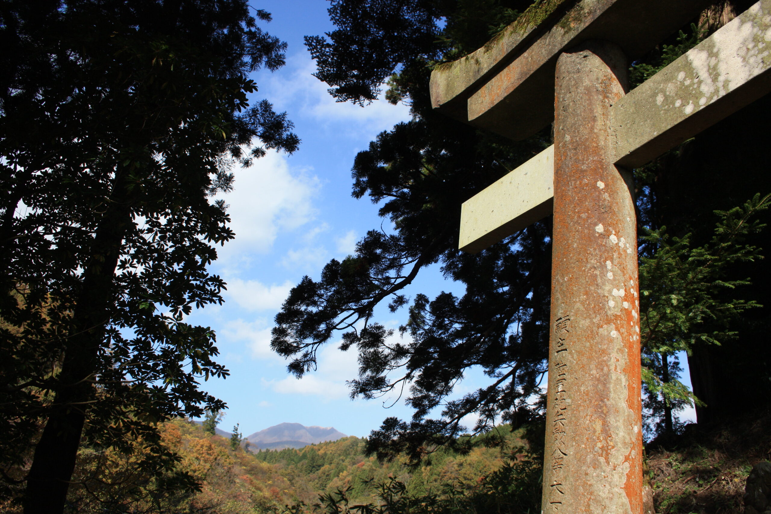 写真2