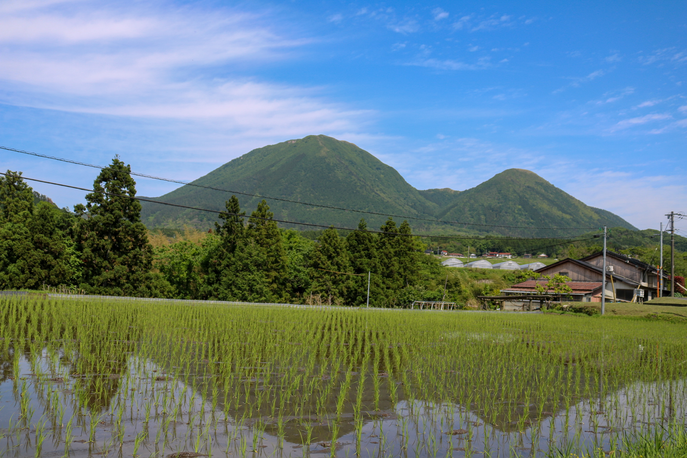 写真4
