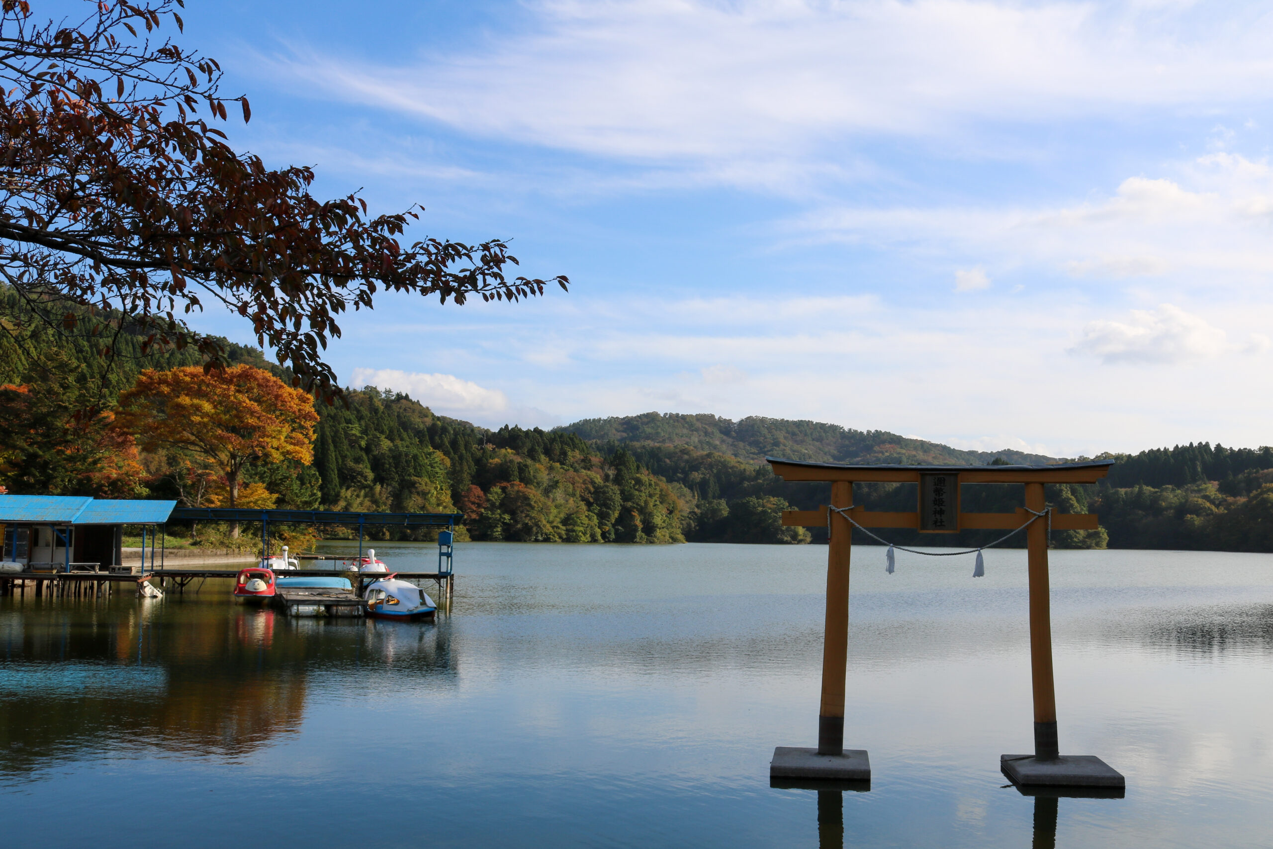写真4