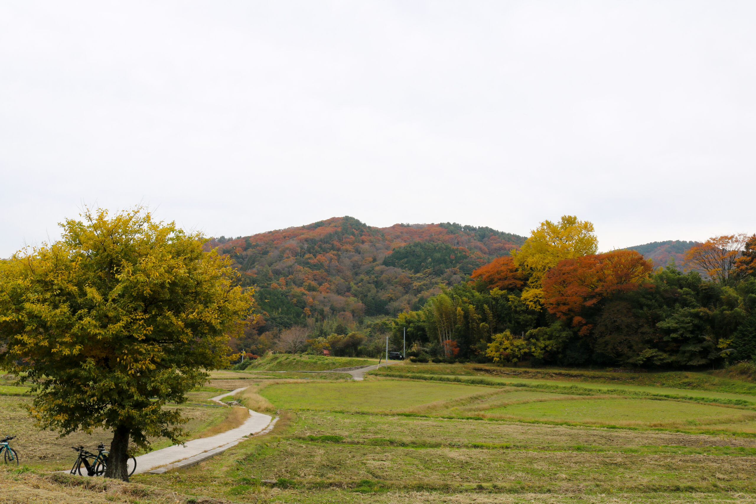 写真3