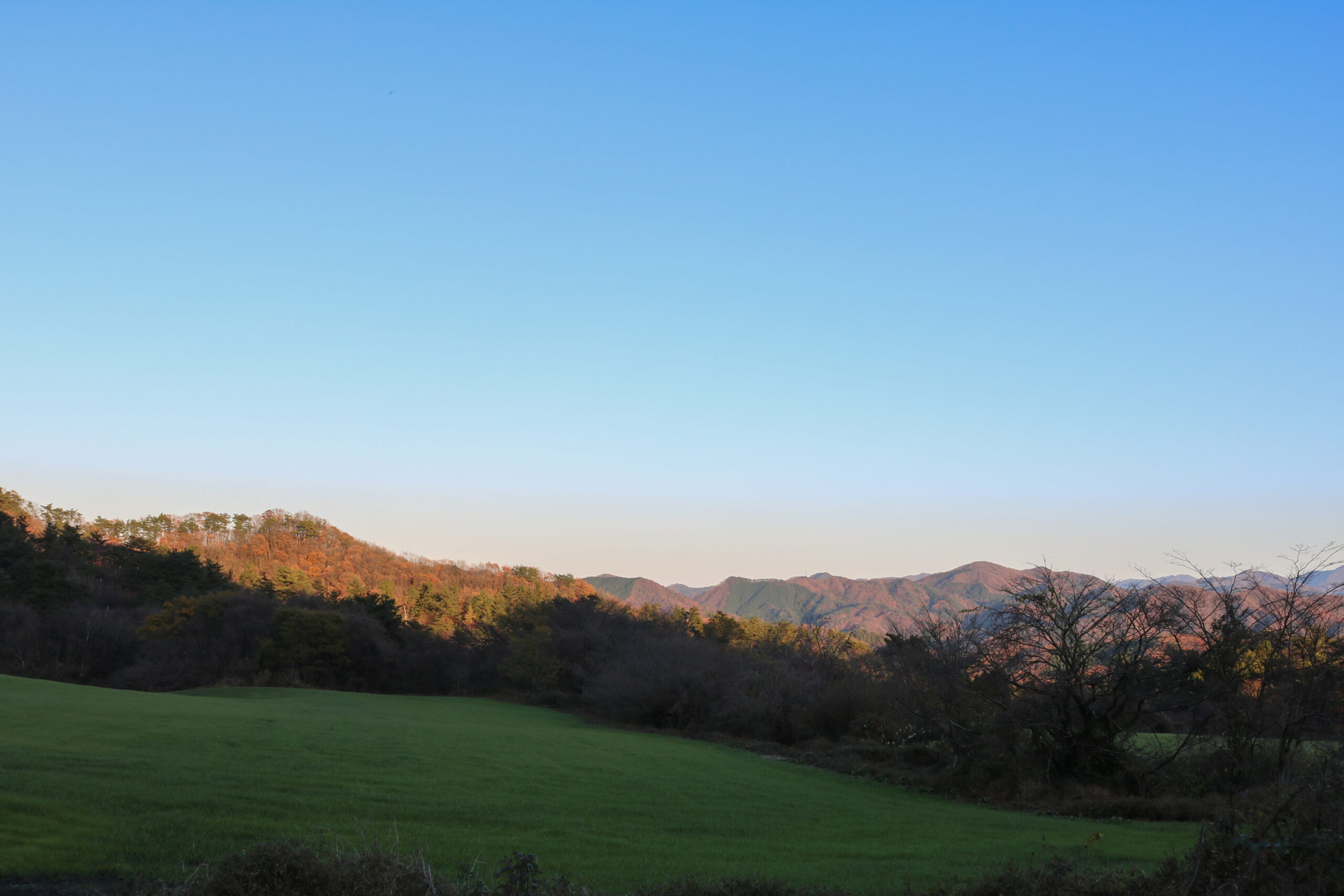 写真3
