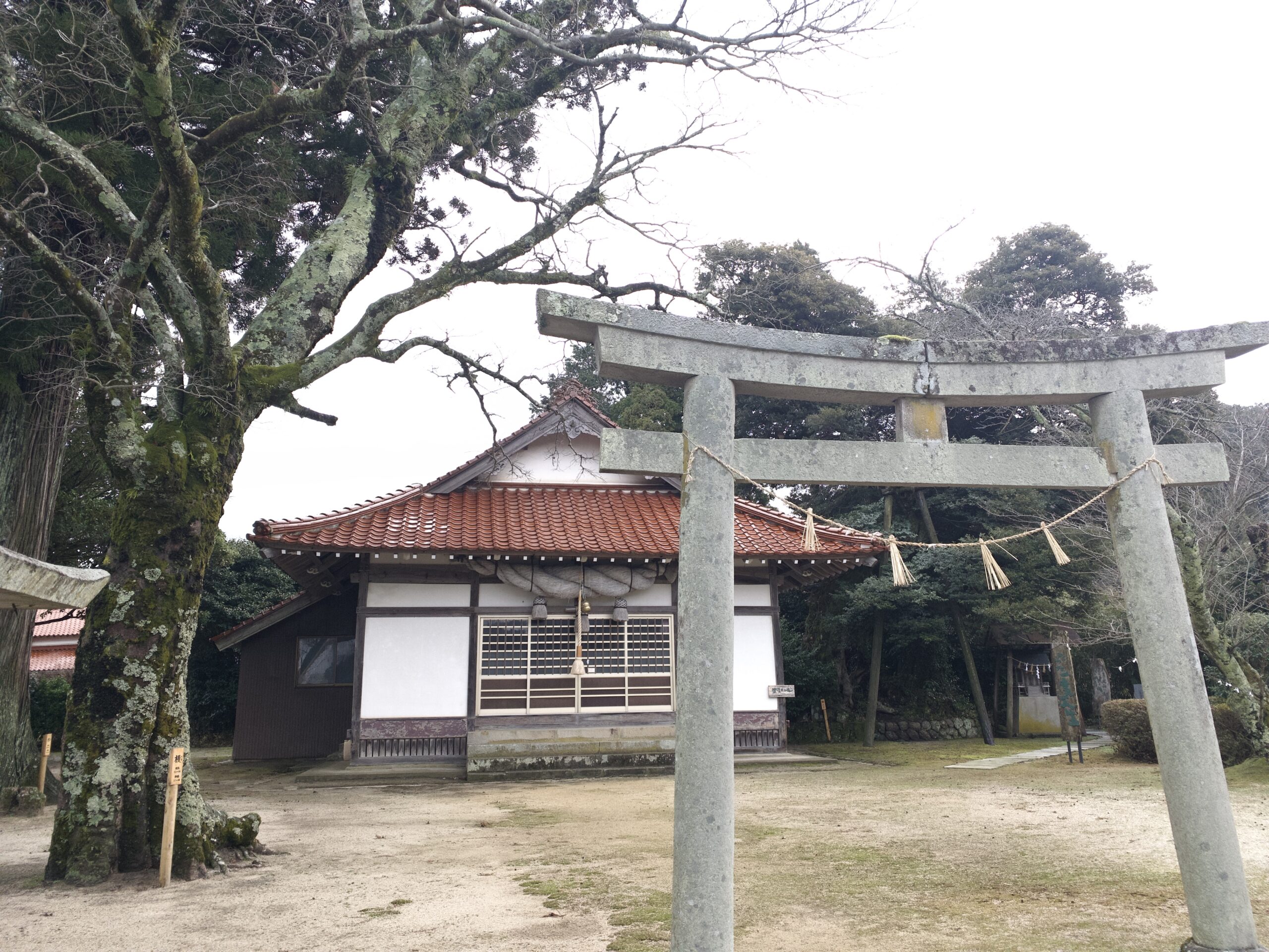 写真2