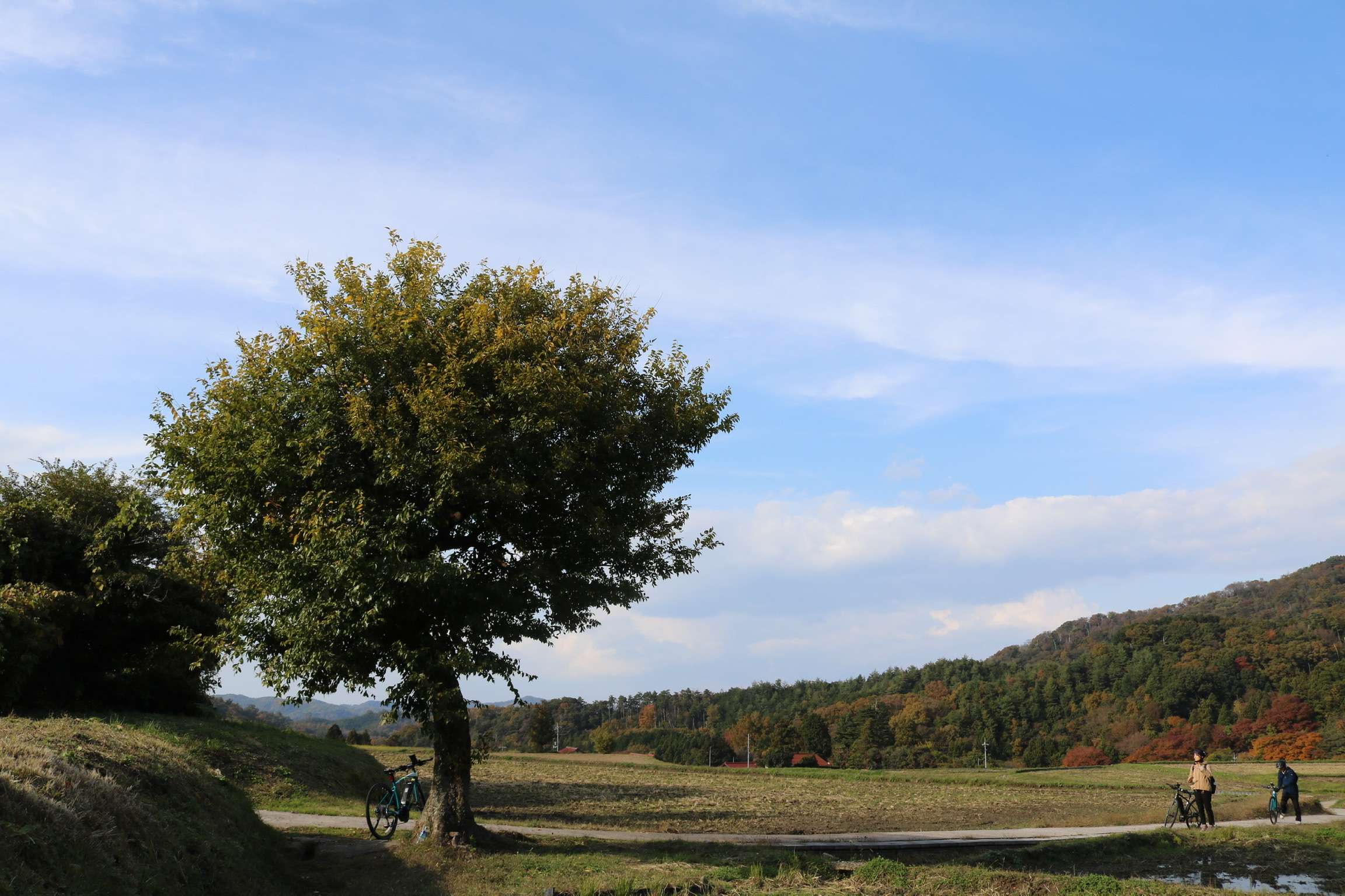 小屋原の田んぼ道