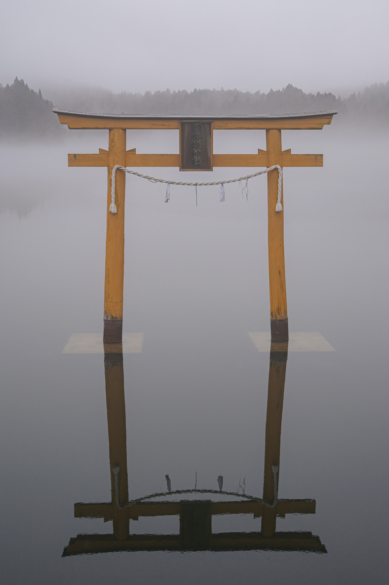幻想的な浮布池の鳥居