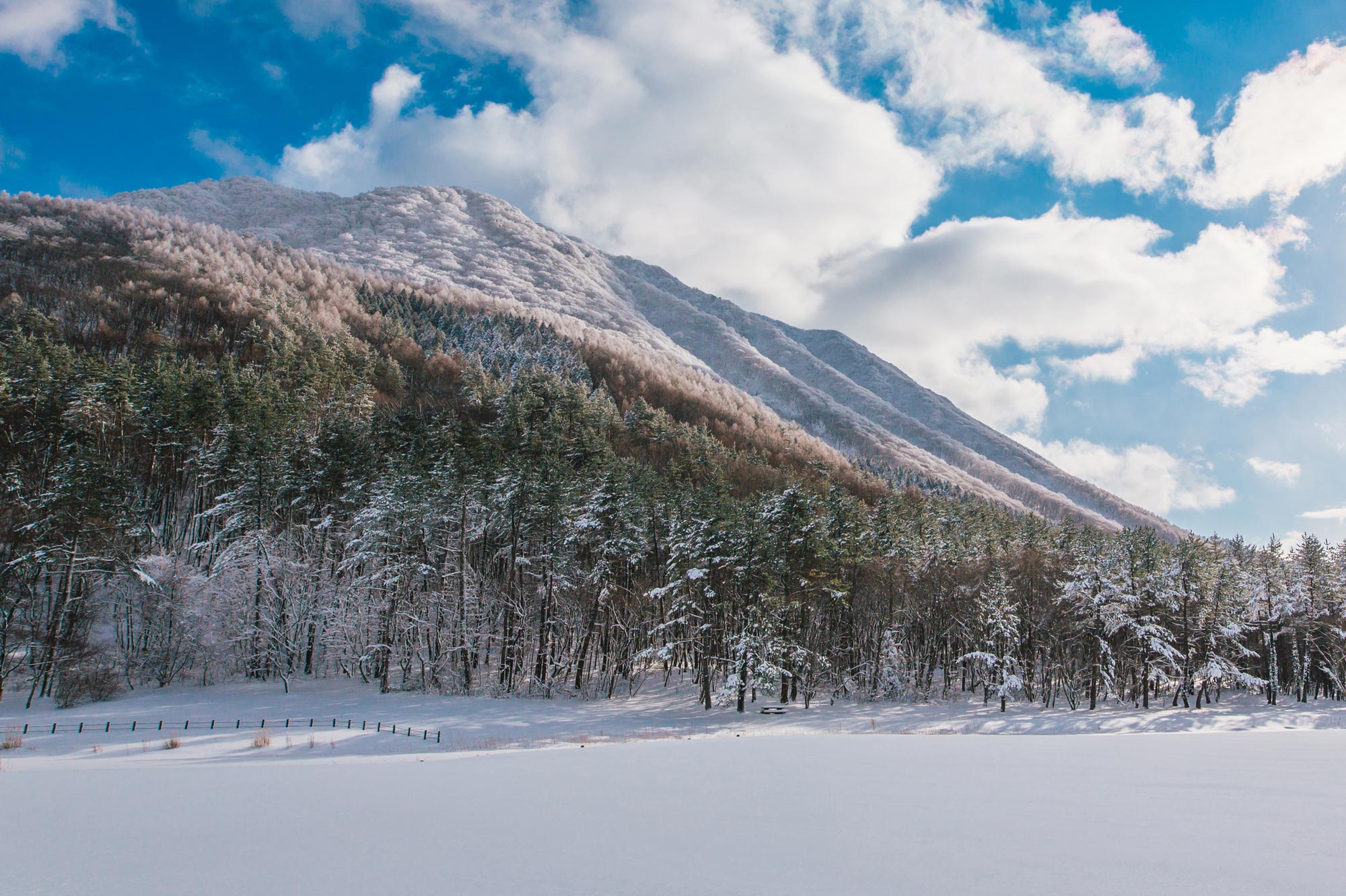 北の原の大雪原