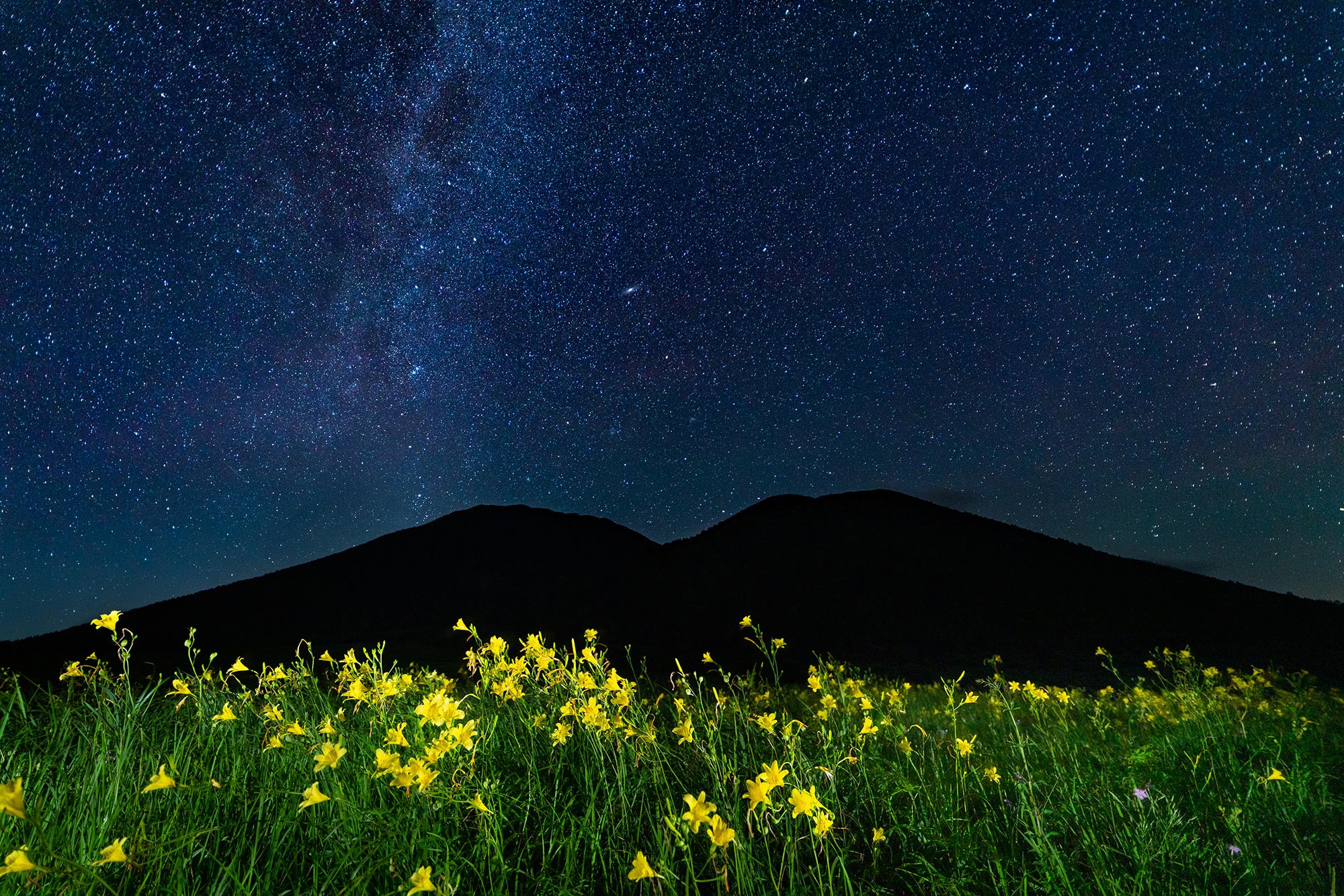 三瓶山×天の川×ユウスゲ