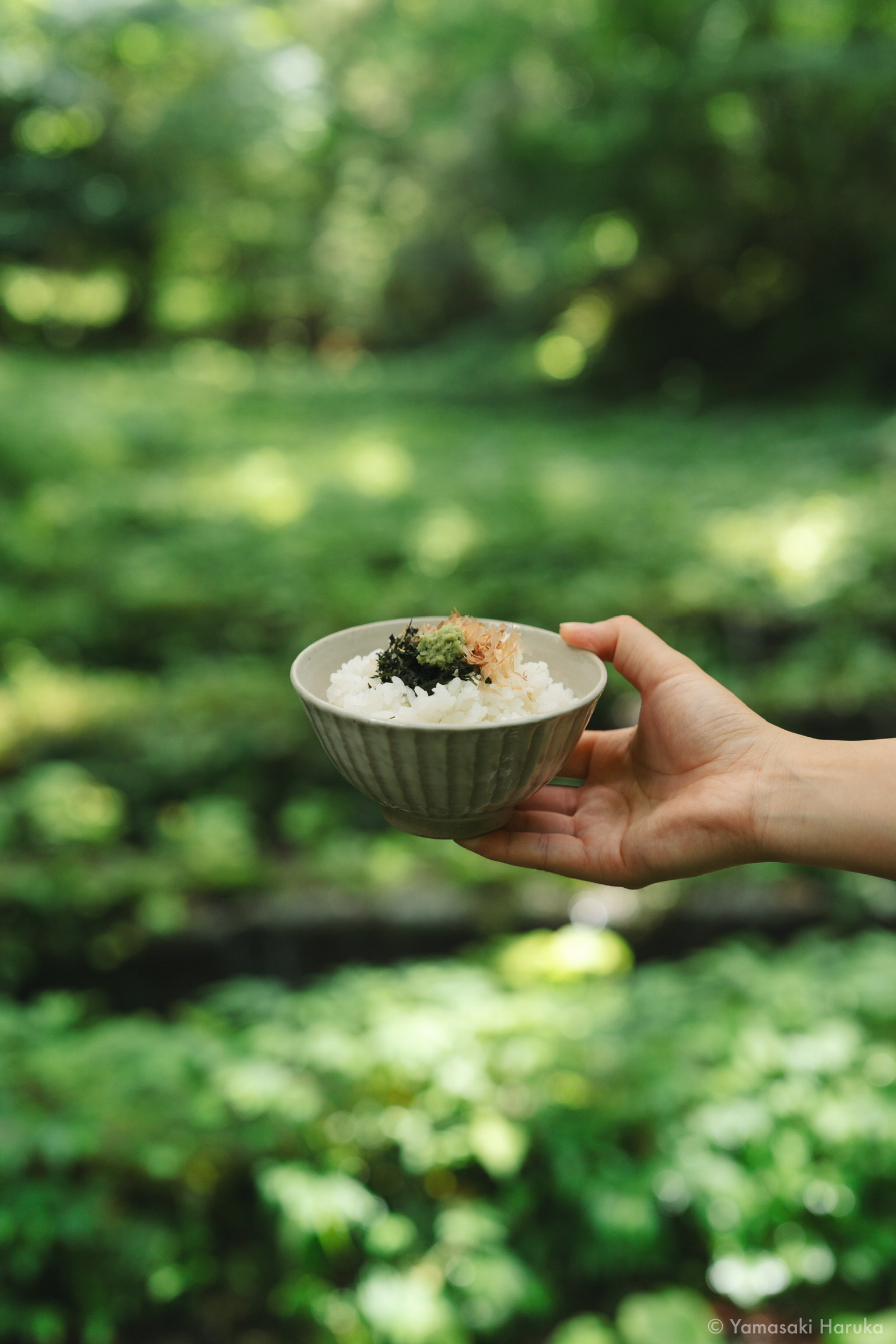 清流で味わう採れたてのわさび丼