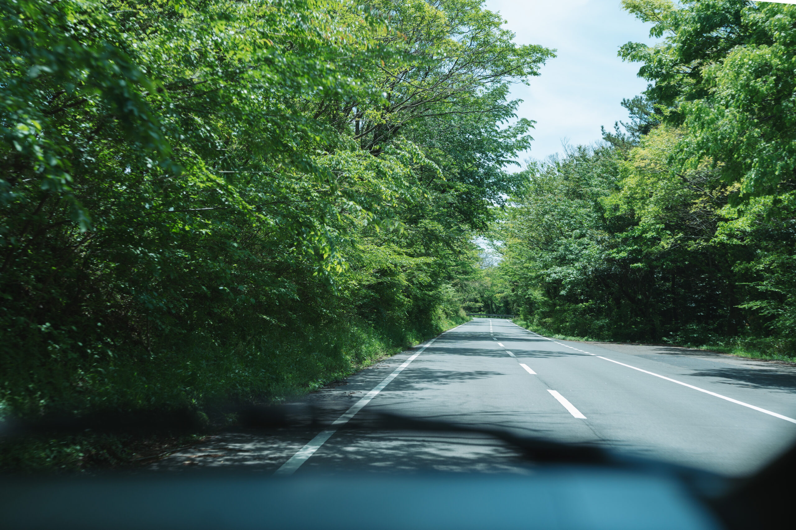 高原道路の木漏れ日ドライブ