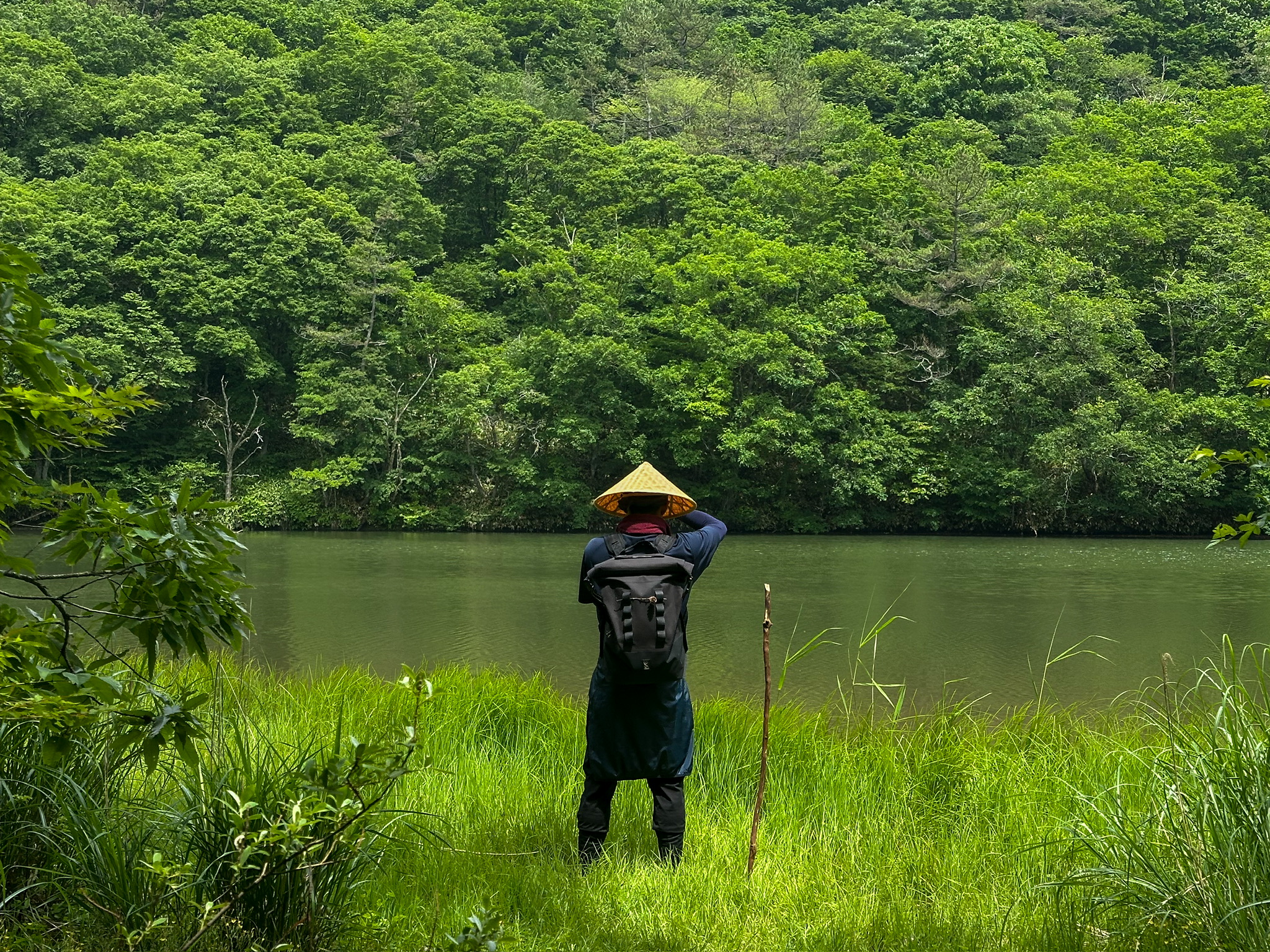 登山途中の景色