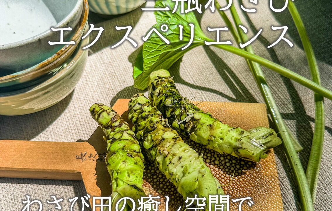 わびさび 三瓶わさびエクスペリエンス - さんべツアーズ