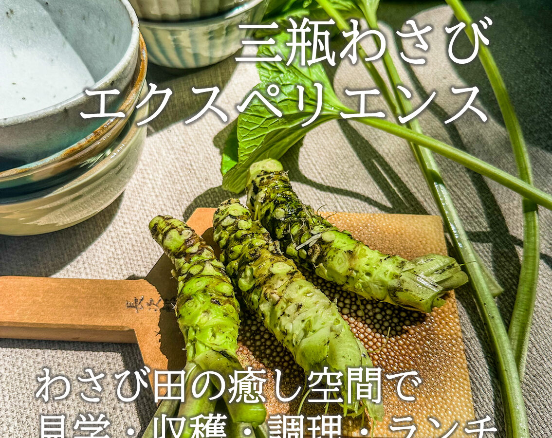 三瓶わさびエクスペリエンス - さんべツアーズ