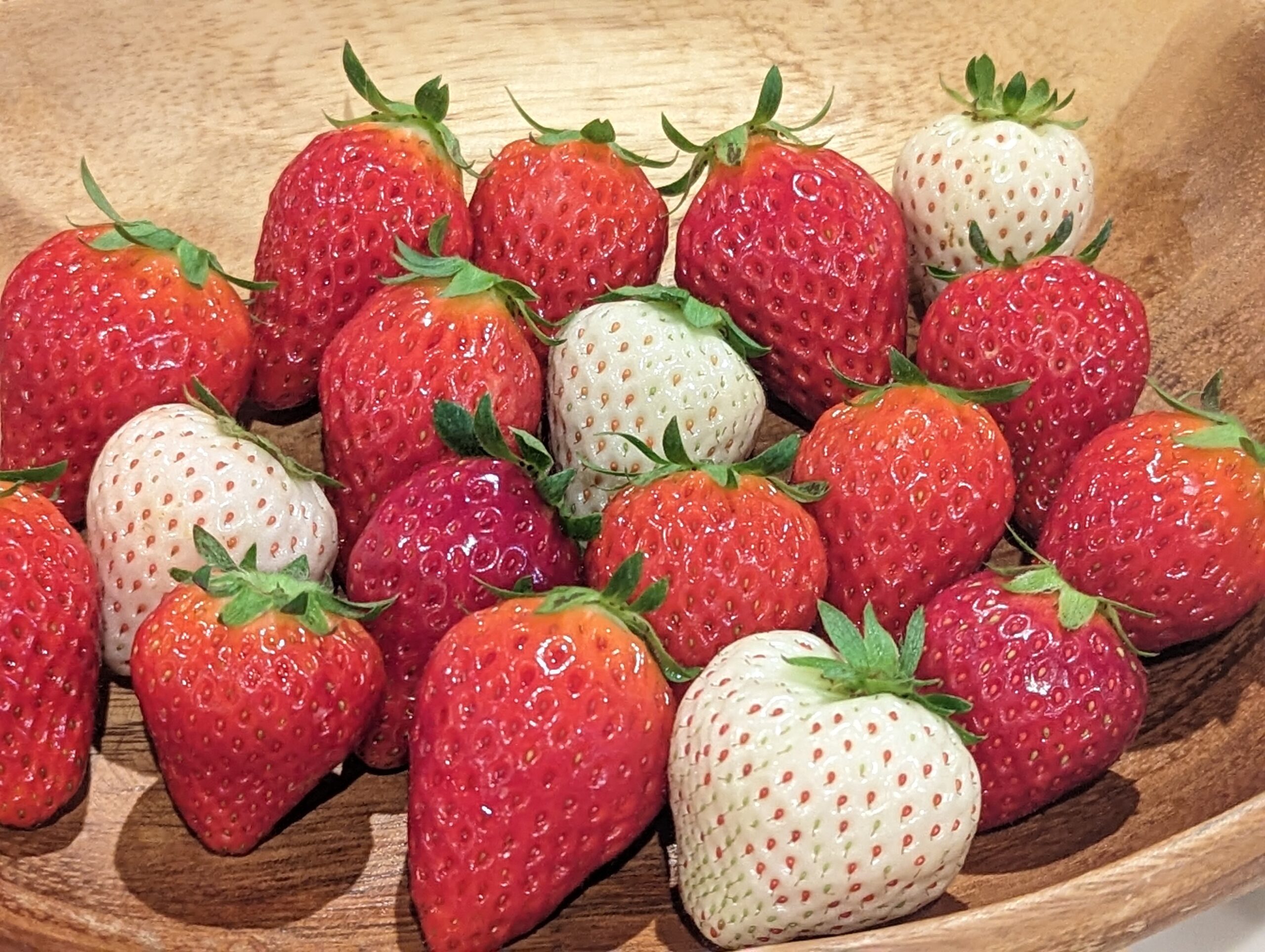 8farm 商品